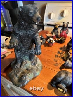 Bearfoots bears jeff fleming big sky
