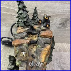 Big Sky Carvers Bearfoots MOUNTAIN FOUNTAIN Bear Statue By Jeff Fleming READ