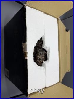 Big Sky Carvers Bruin Creek by Marc Pierce Signature Collection Bear Salmon