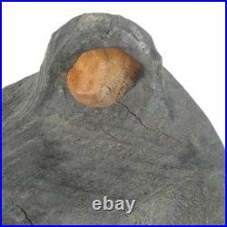 Big Sky Carvers Jeffrey Hand Carved Jeff Fleming Black Bear Statue 15 in Foots