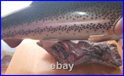 Big Sky Carvers Rainbow Trout On Burl Wood Signed B. Reel 17 long 7 hig