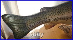 Big Sky Carvers Rainbow Trout On Burl Wood Signed B. Reel 17 long 7 hig