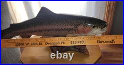 Big Sky Carvers Rainbow Trout On Burl Wood Signed B. Reel 17 long 7 hig