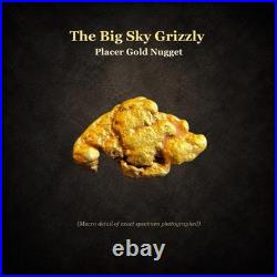 Montana Gold Nugget 0.543g Big Sky Grizzly Natural Placer Gold Display Box