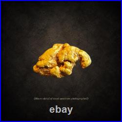 Montana Gold Nugget 0.543g Big Sky Grizzly Natural Placer Gold Display Box