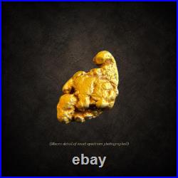 Montana Gold Nugget 0.543g Big Sky Grizzly Natural Placer Gold Display Box Montana Gold Nugget 0.543g Big Sky Grizzly Natural Placer Gold Display Box