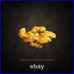 Montana Gold Nugget 0.543g Big Sky Grizzly Natural Placer Gold Display Box
