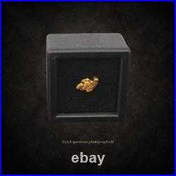Montana Gold Nugget 0.543g Big Sky Grizzly Natural Placer Gold Display Box