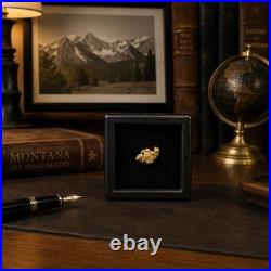 Montana Gold Nugget 0.543g Big Sky Grizzly Natural Placer Gold Display Box Montana Gold Nugget 0.543g Big Sky Grizzly Natural Placer Gold Display Box