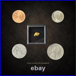 Montana Gold Nugget 0.543g Big Sky Grizzly Natural Placer Gold Display Box Montana Gold Nugget 0.543g Big Sky Grizzly Natural Placer Gold Display Box