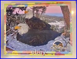 New Jackie & Shadow Bald Eagles Big Bear Valley 500 pc Puzzle Cotton Candy Sky
